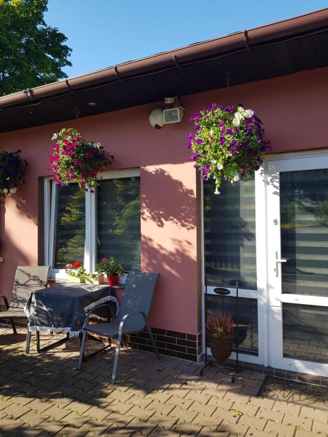 Apartament Lavender Еленя-Гура Экстерьер фото